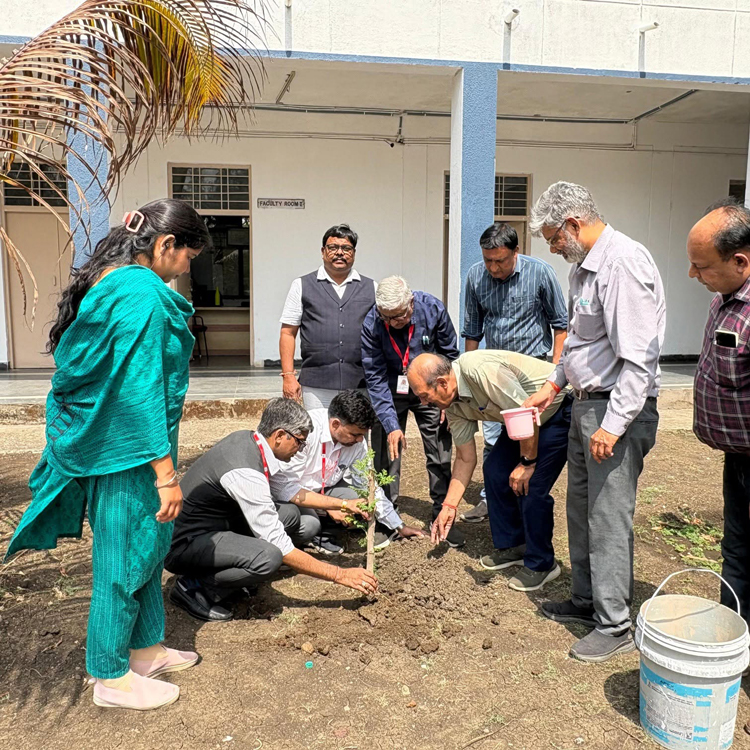 विश्व पर्यावरण दिवस,सप्ताह के अवसर पर राधारमण इंस्टीट्यूट ऑफ फार्मास्युटिकल साइंसेज में वृक्षारोपण कार्यक्रम आयोजित किया गया।